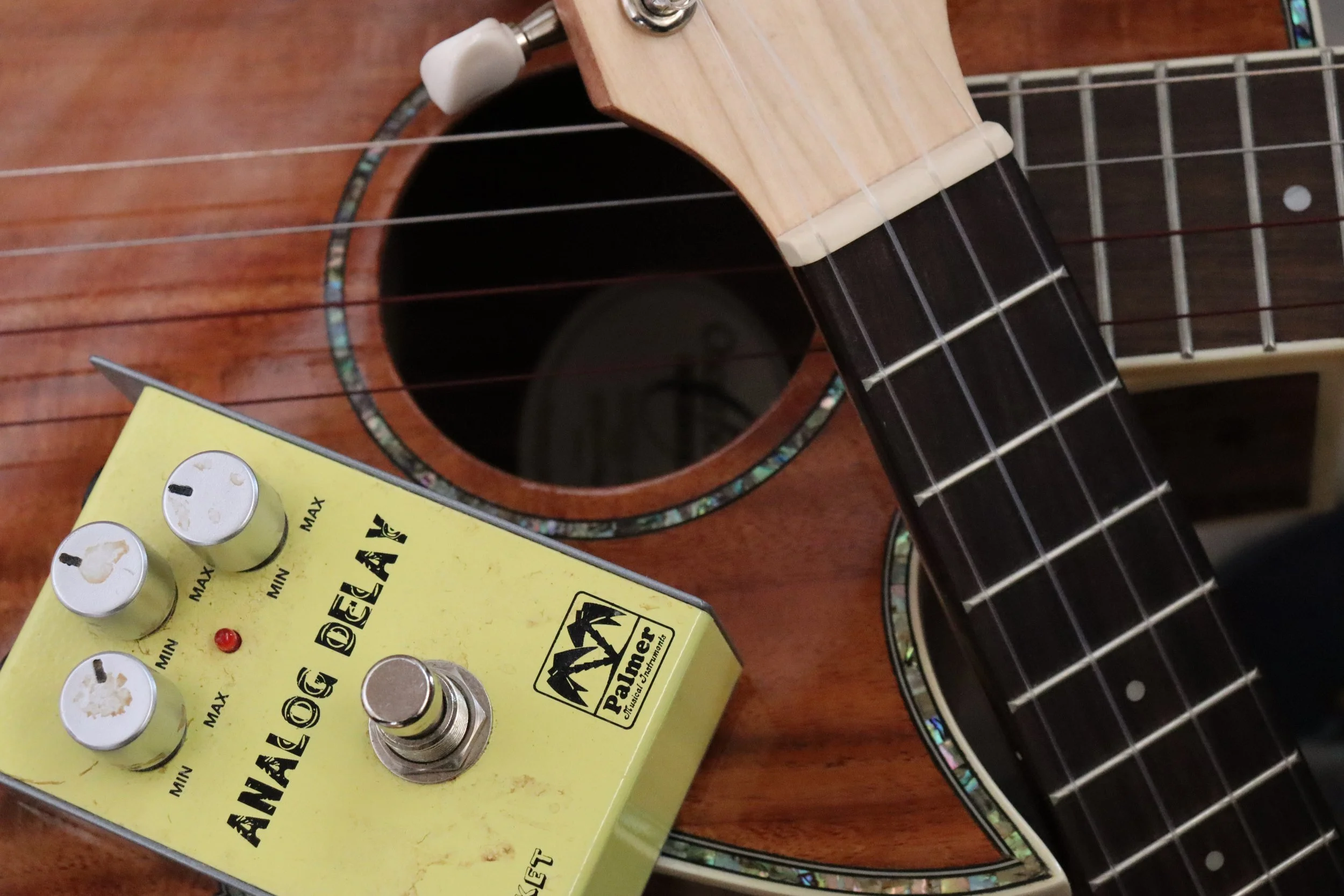 The Ukulele Enthusiast's Toolbox: Essential Gear for Every Player