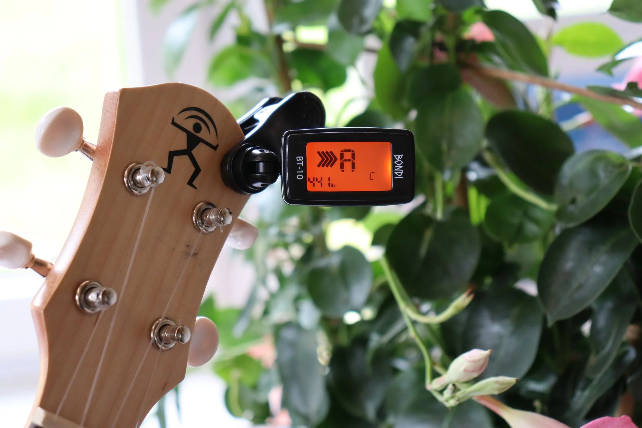 Finding Your Dream Ukulele: Key Features to Consider and Top Recommendations