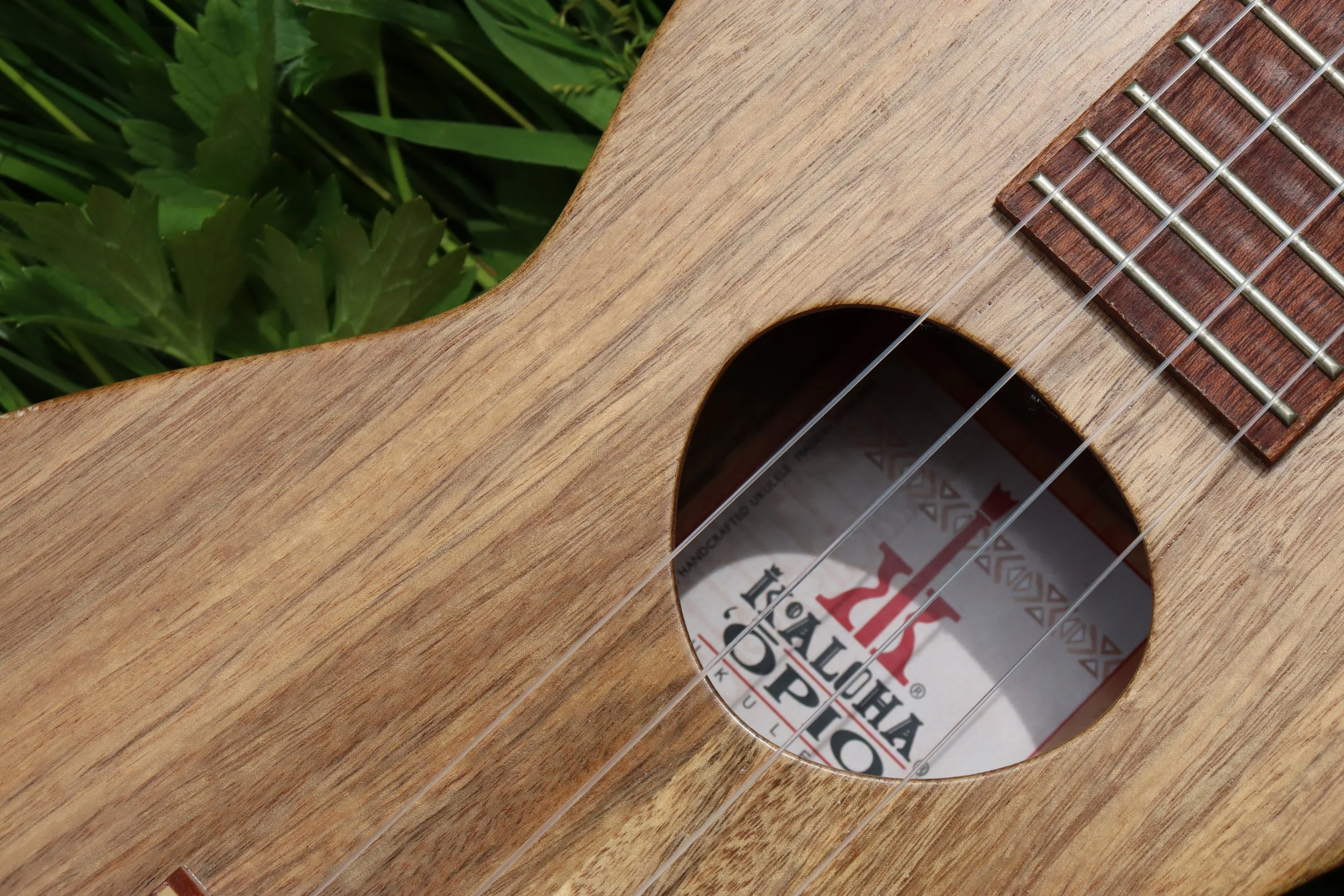 Ukulele Upgrades: Elevate Your Sound with These Must-Have Additions