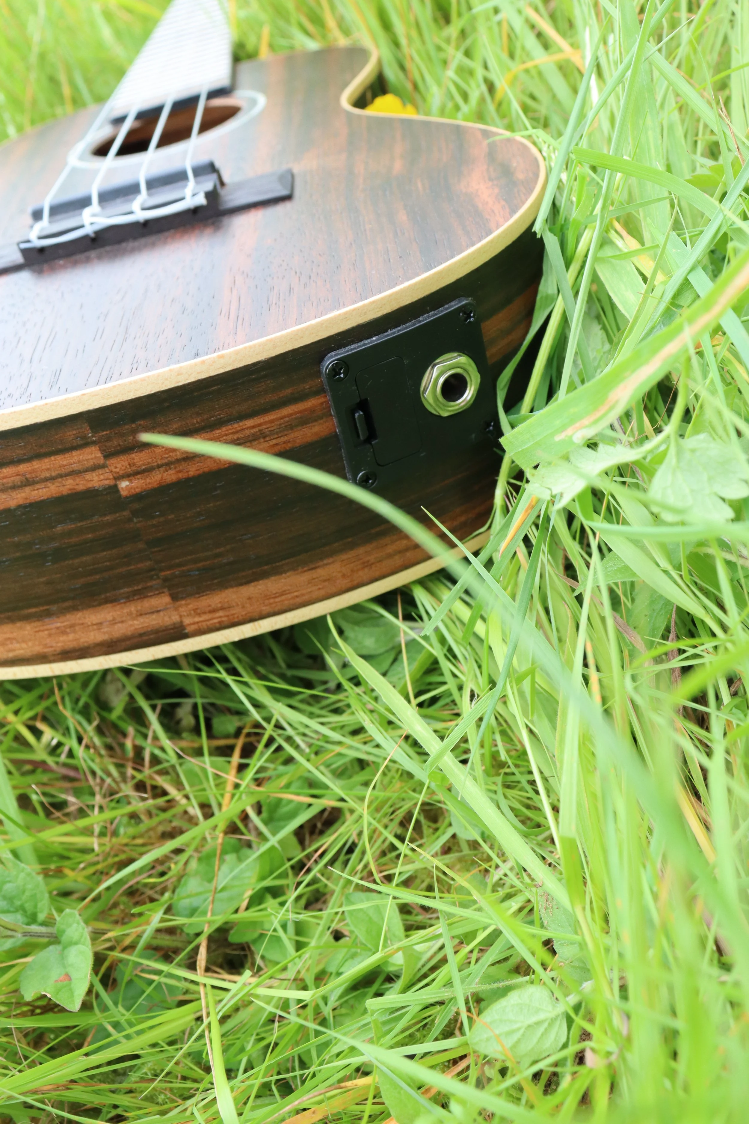 Unlocking the Magic: 10 Essential Ukulele Accessories You Need