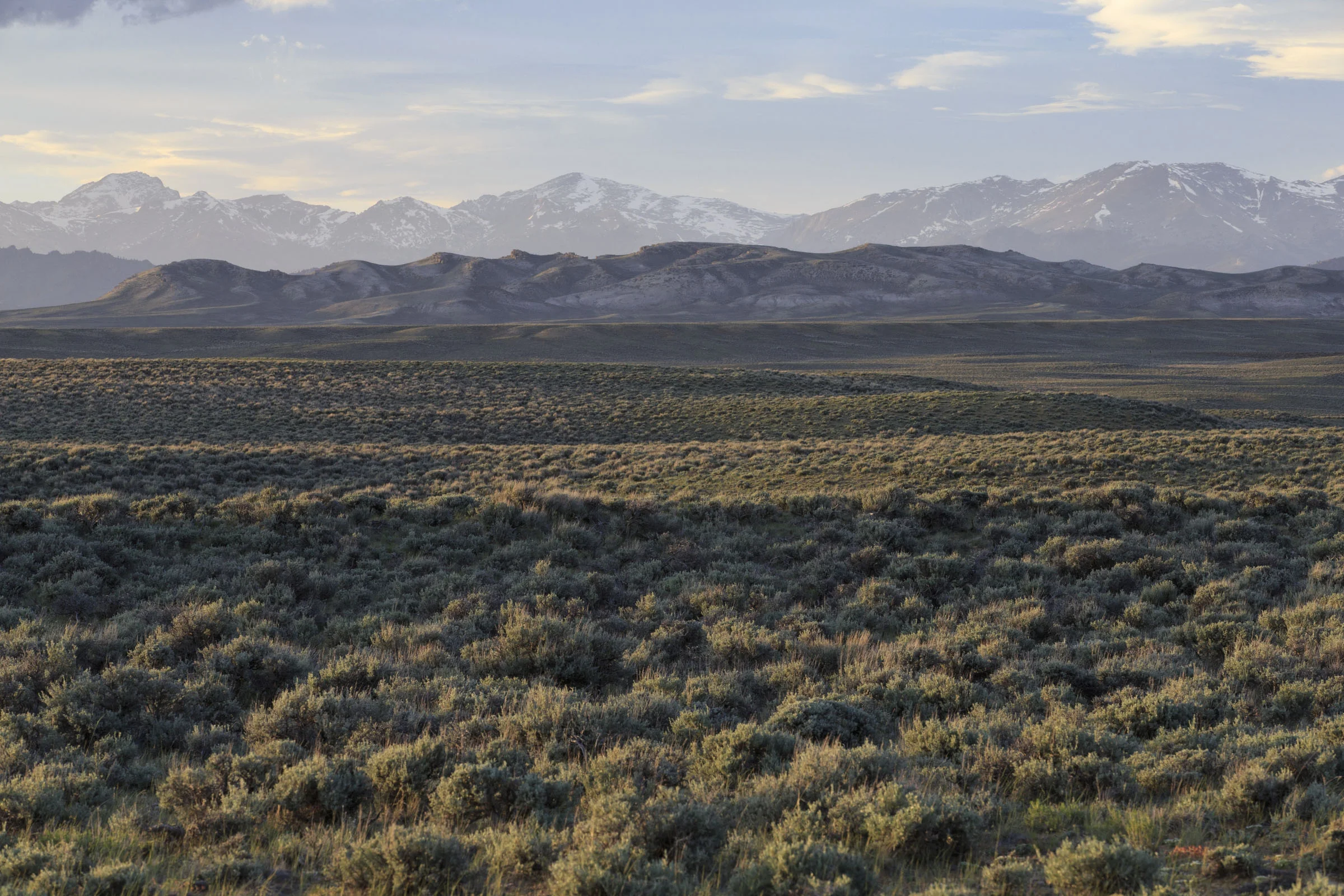 Sage and Wind River Range-Vyn-130610-0327.jpg