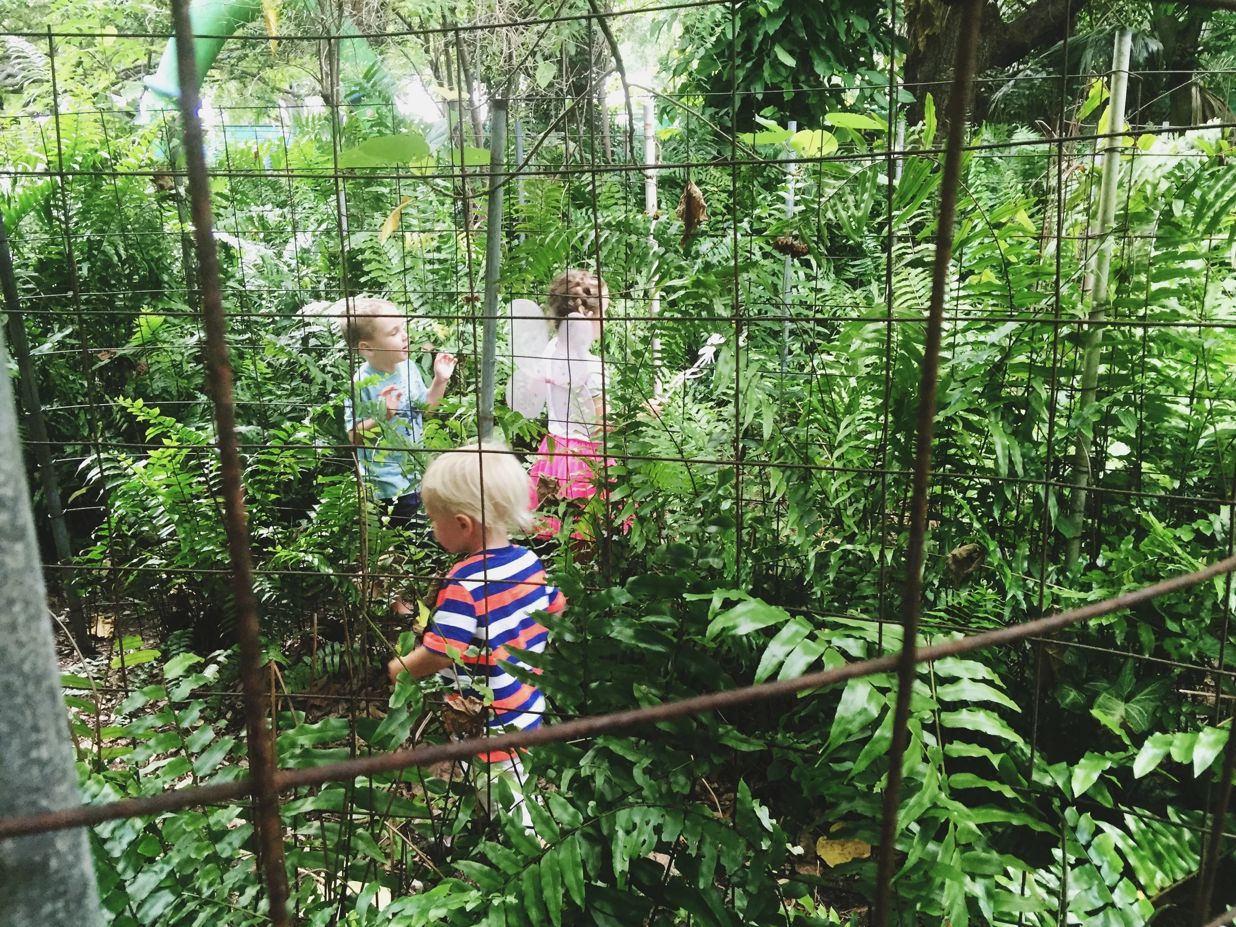 garden 18.jpg