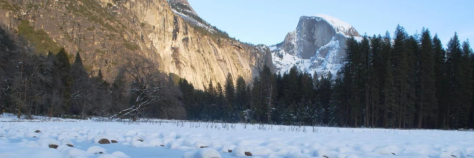 rev_yosemite_2.jpg