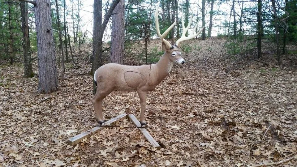 deer.jpg