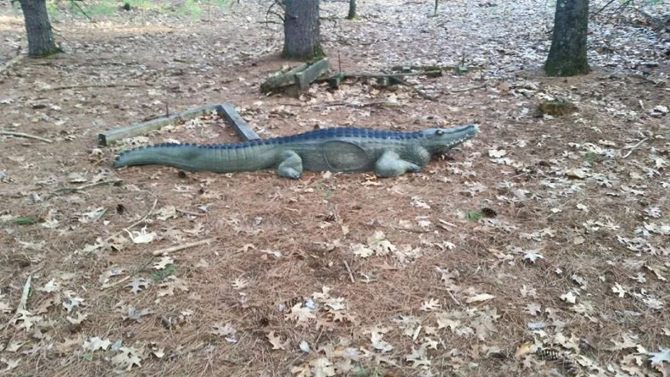 croc.jpg