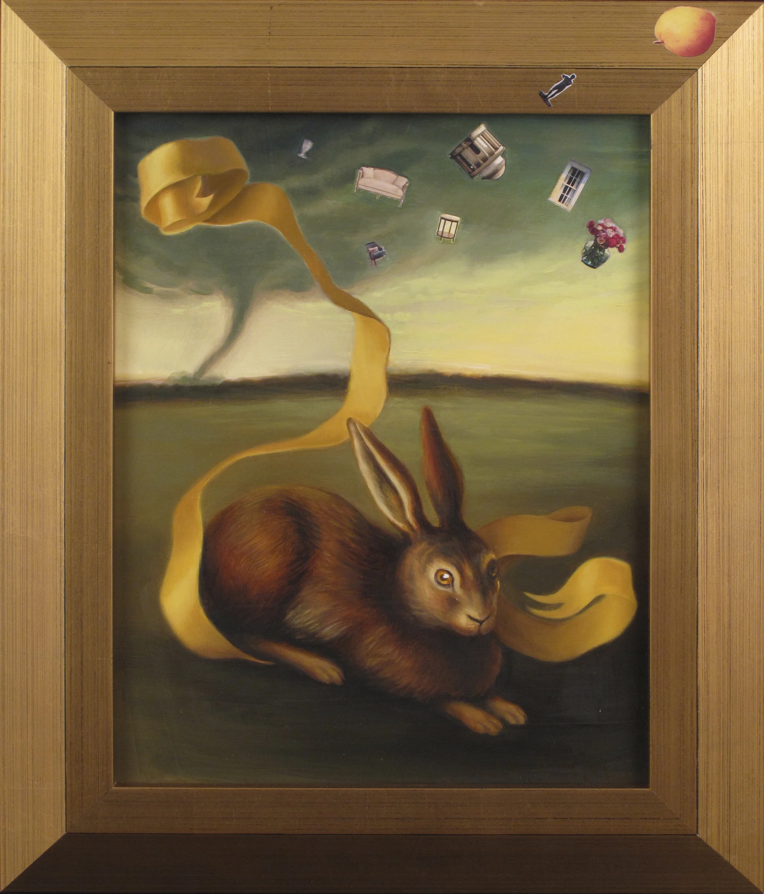 Wild Rabbit.JPG