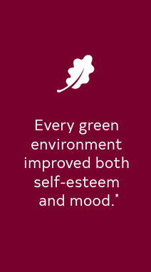 decorate by nature quote.png