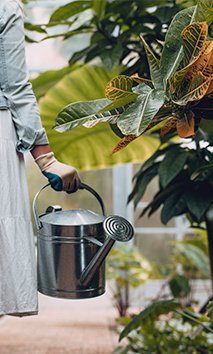 urban garden 03.png