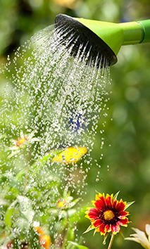 urban garden 05.png