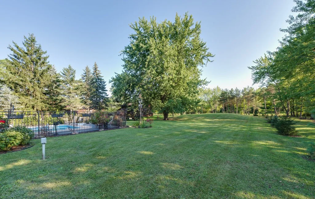 back yard3.jpg