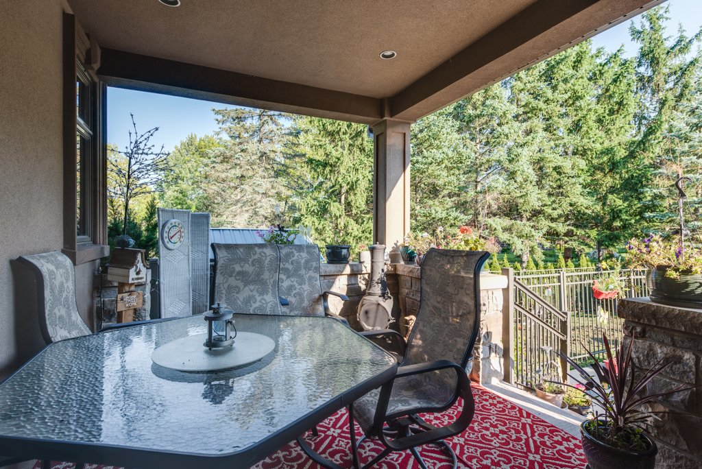 back yard2.jpg