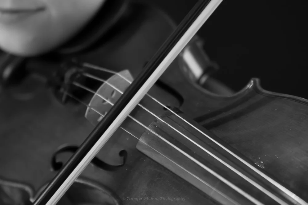 DSC_7952.jpg