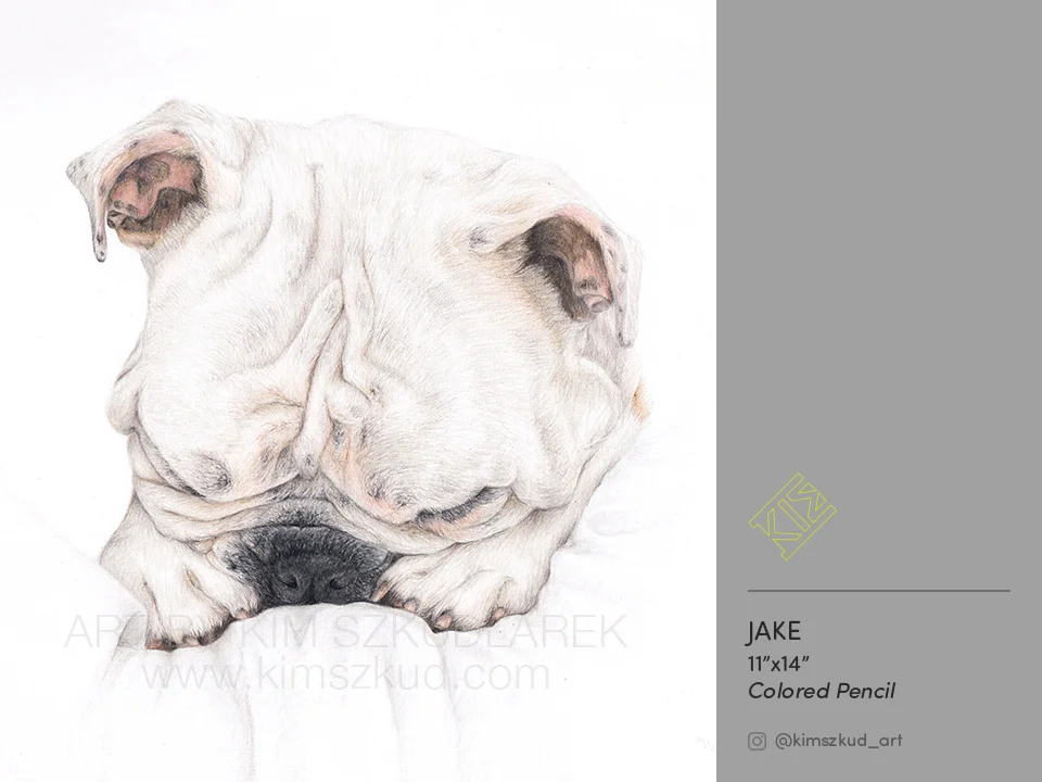 Jake.jpg