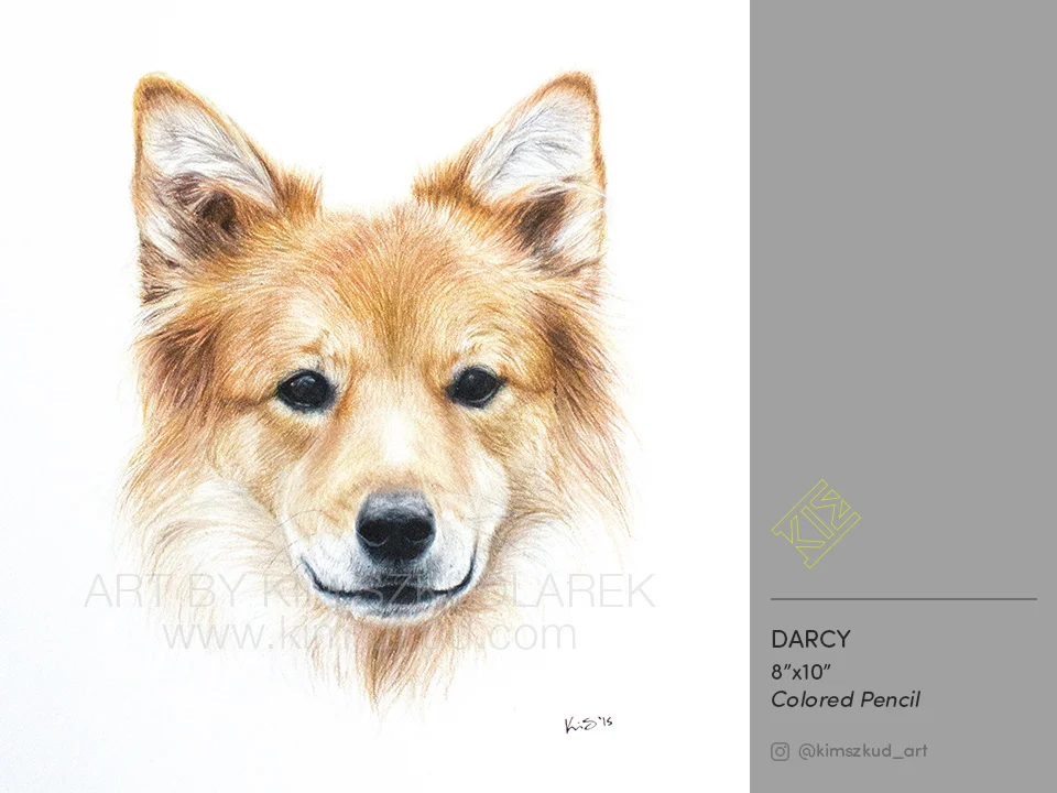 Darcy_site.jpg