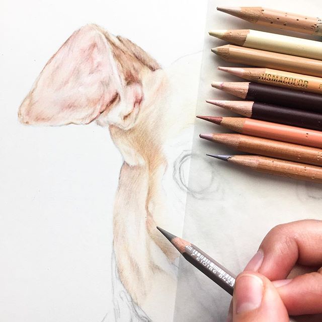Breaking out a myriad of pinks, peaches, and beiges for this next piece!