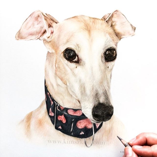 The lovely Peanut (10x10”)! Doesn’t she have the sweetest expression? 💕