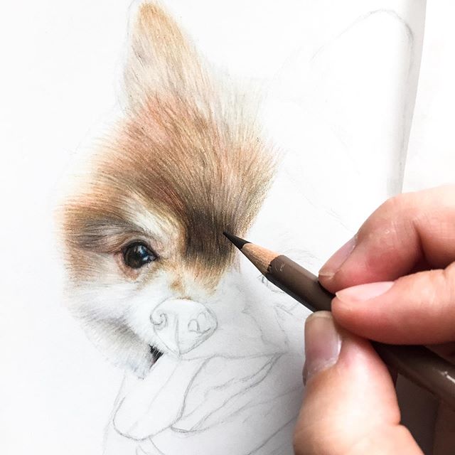 I had the pleasure of drawing this smiling face a couple weeks ago 🐶