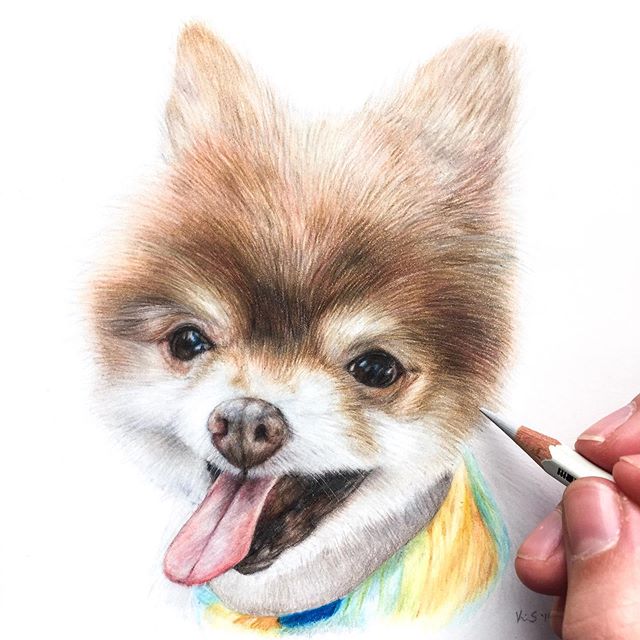 The full portrait of “Niko” (6x6”) I thoroughly enjoyed working on his bright eyes and happy, tongue-out expression. ♥️