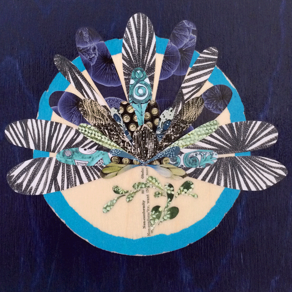 nonconformity-amandabeckmann.gif