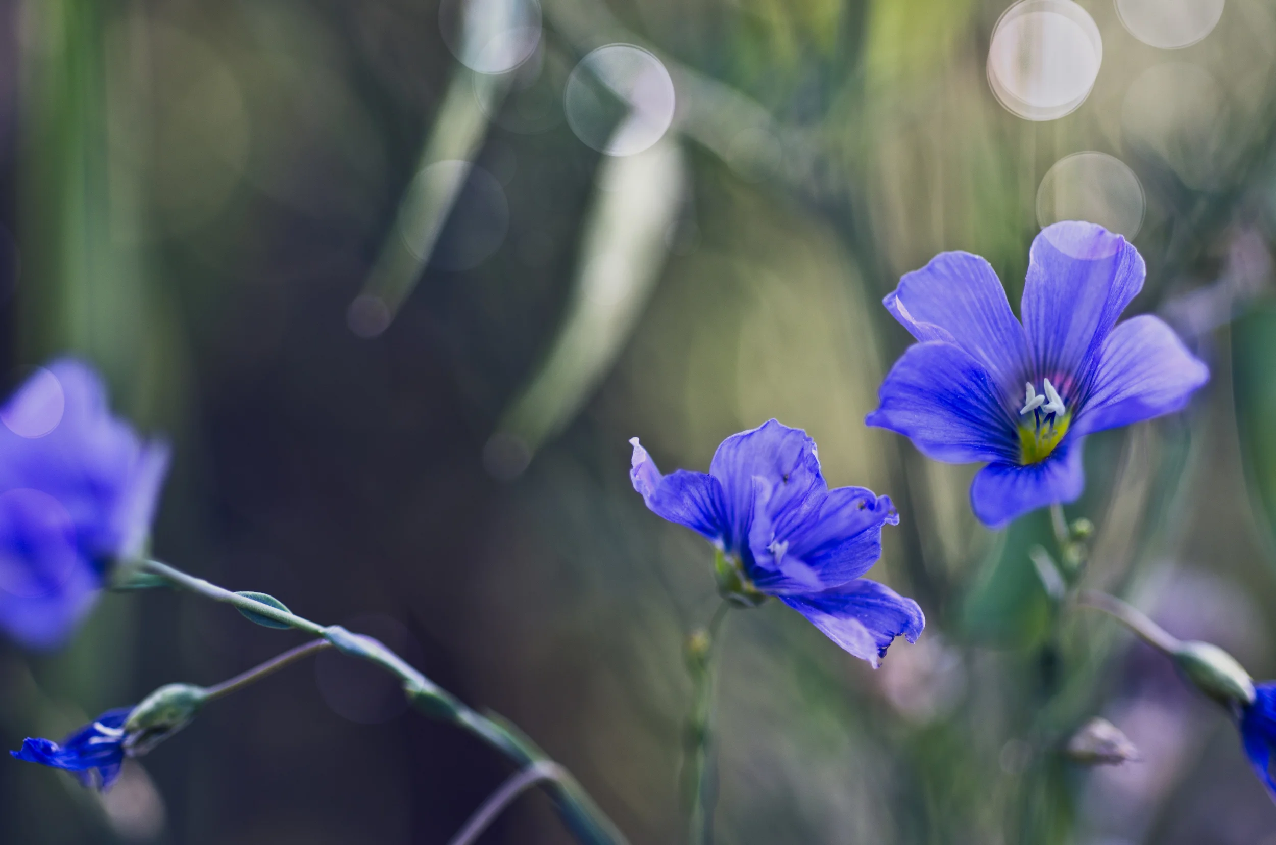 DSC_4263-Edit-Edit.jpg