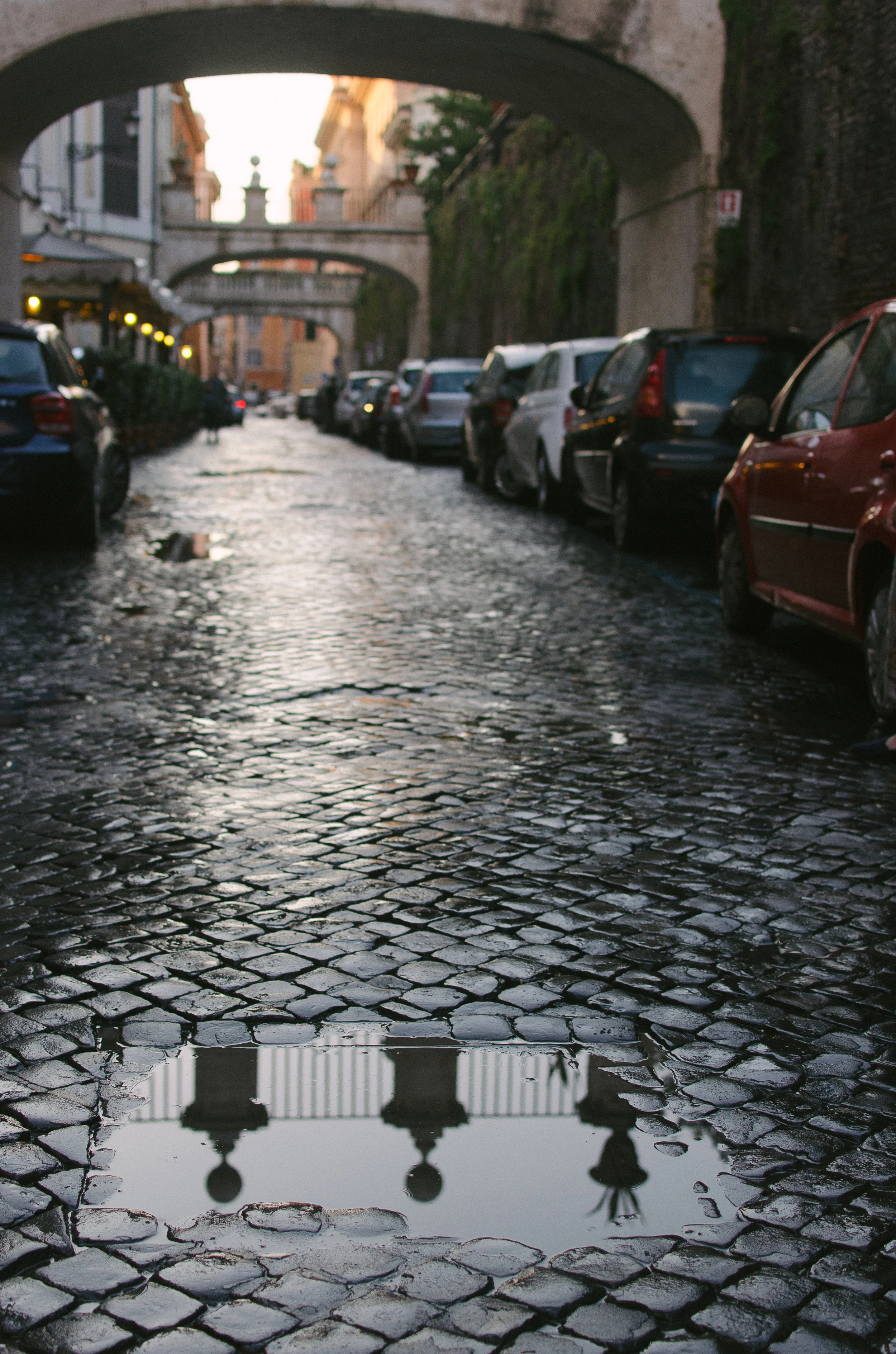 DSC_7398.jpg
