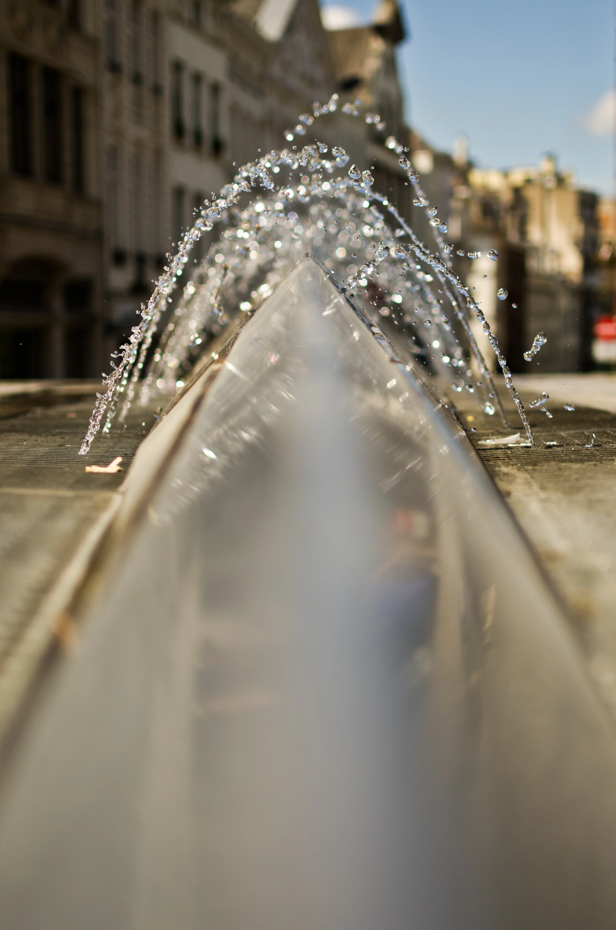 DSC_8610.jpg
