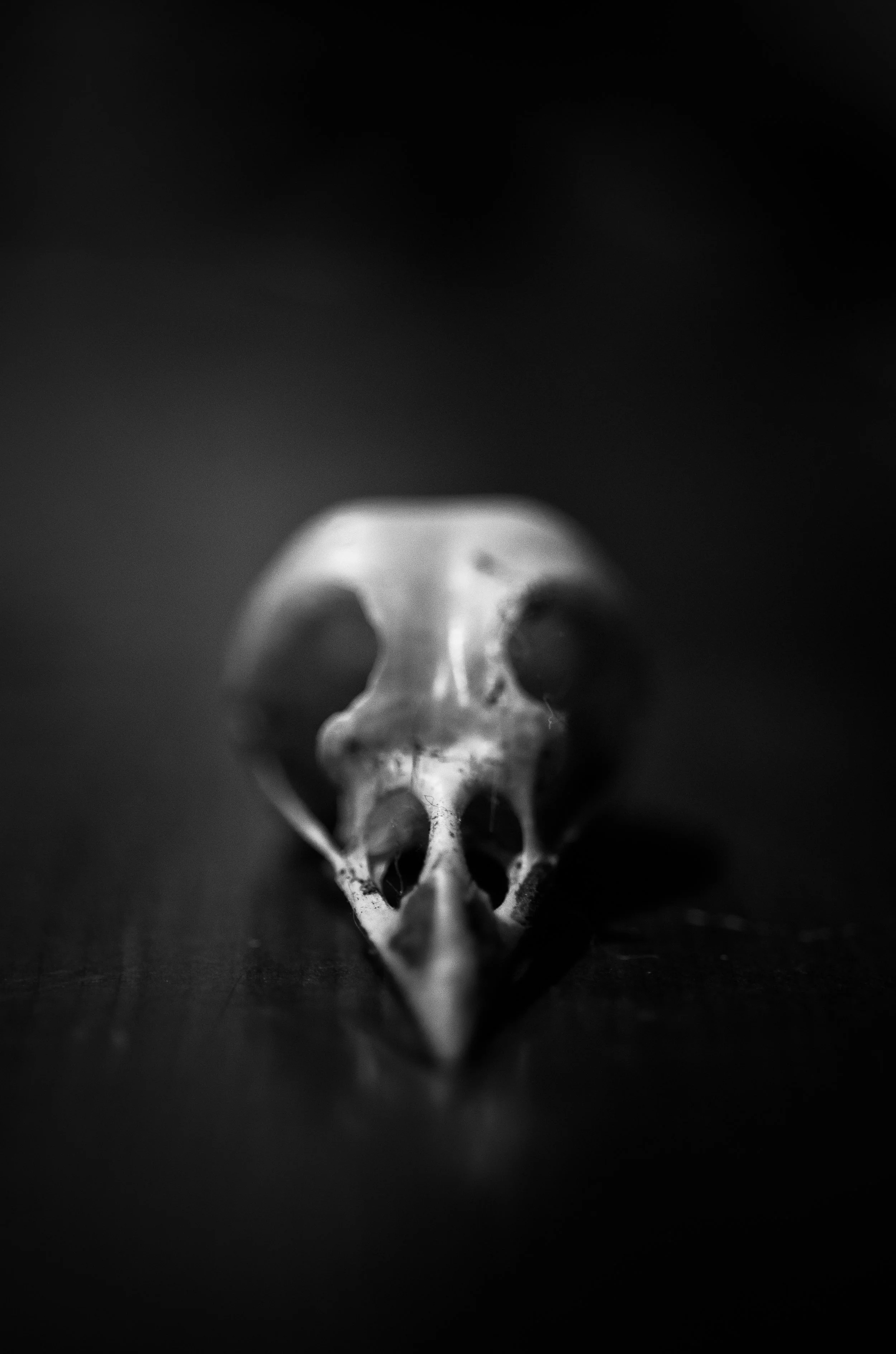 DSC_3942.jpg