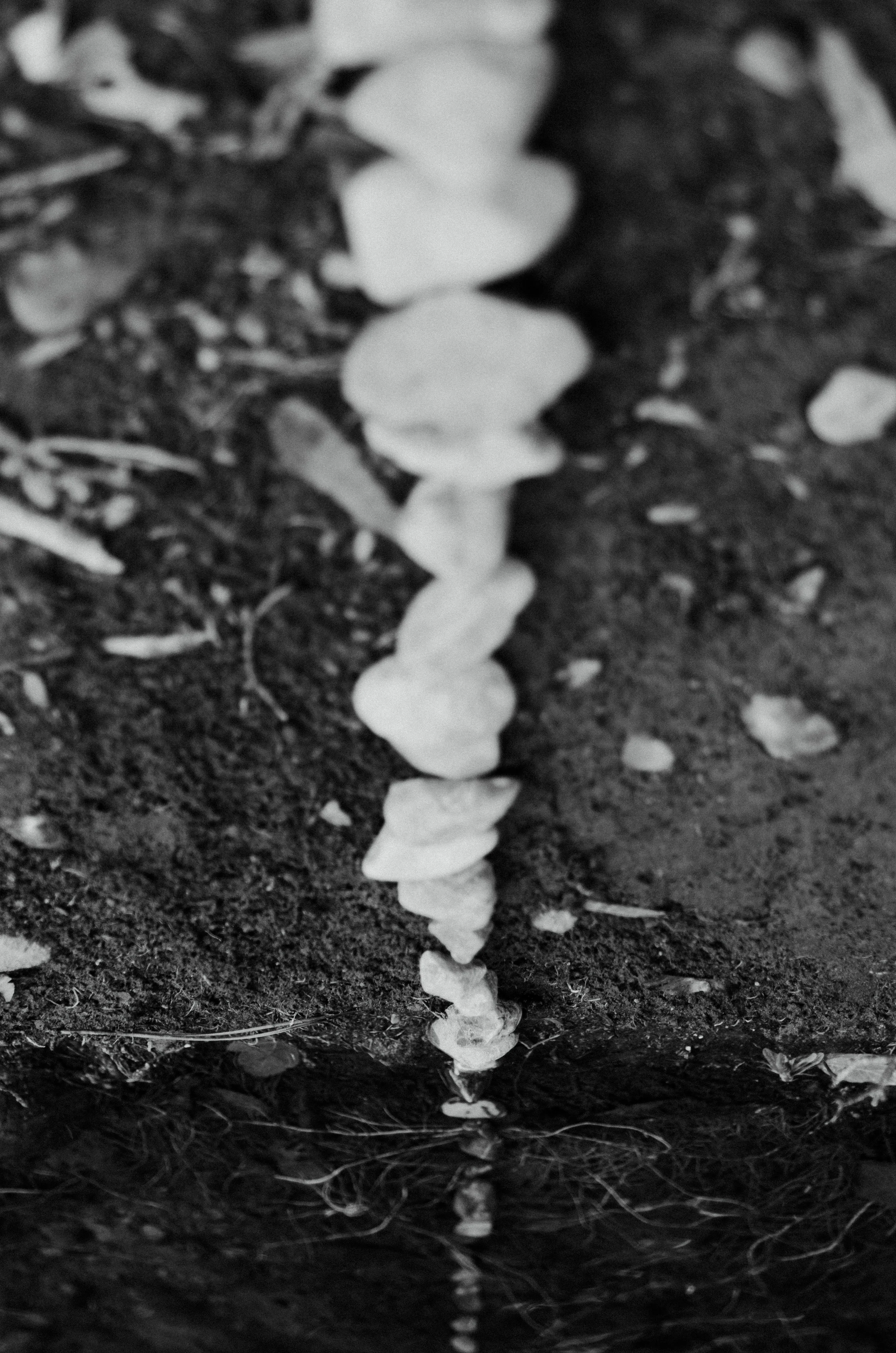 DSC_1743.jpg