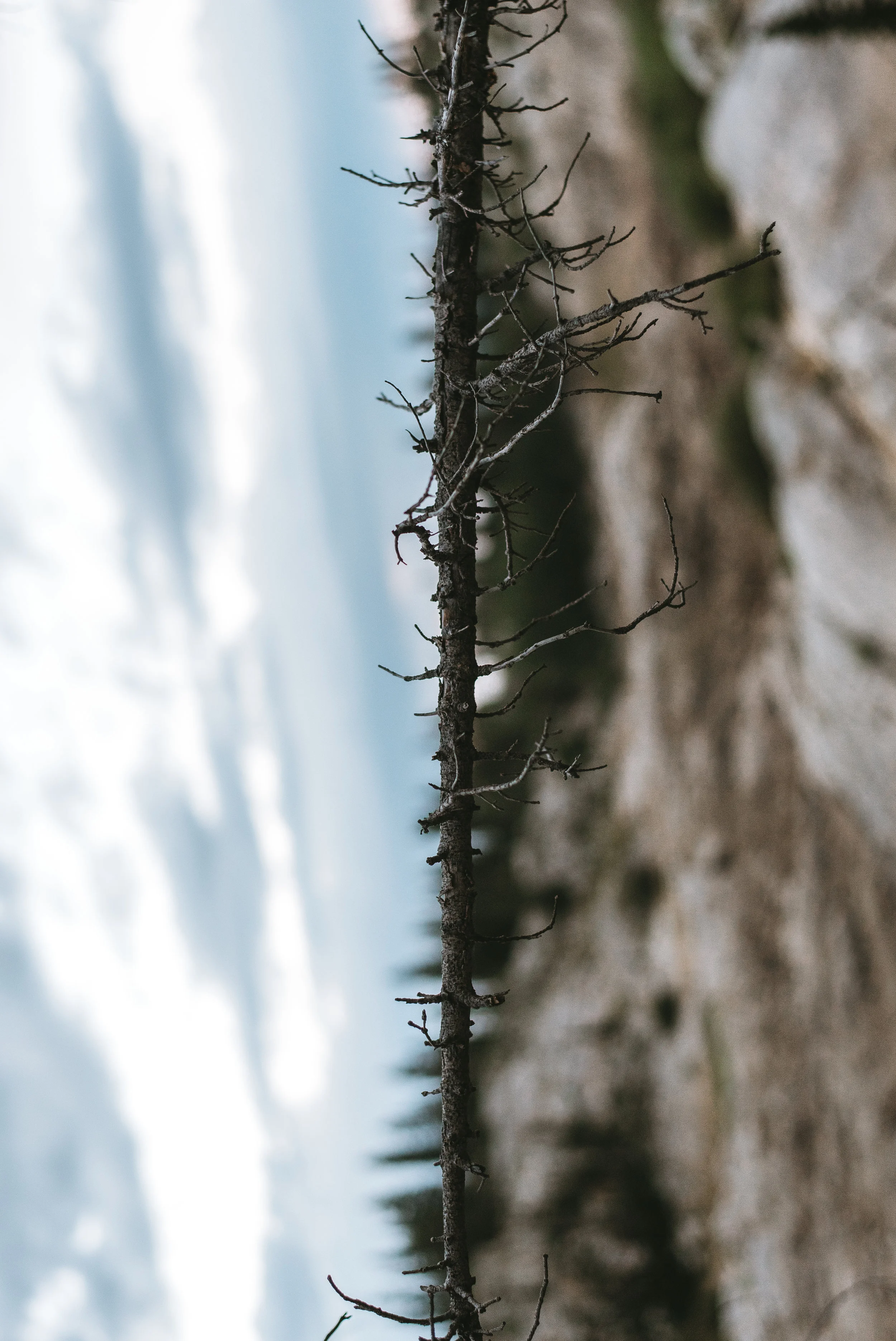 DSC_9430.jpg