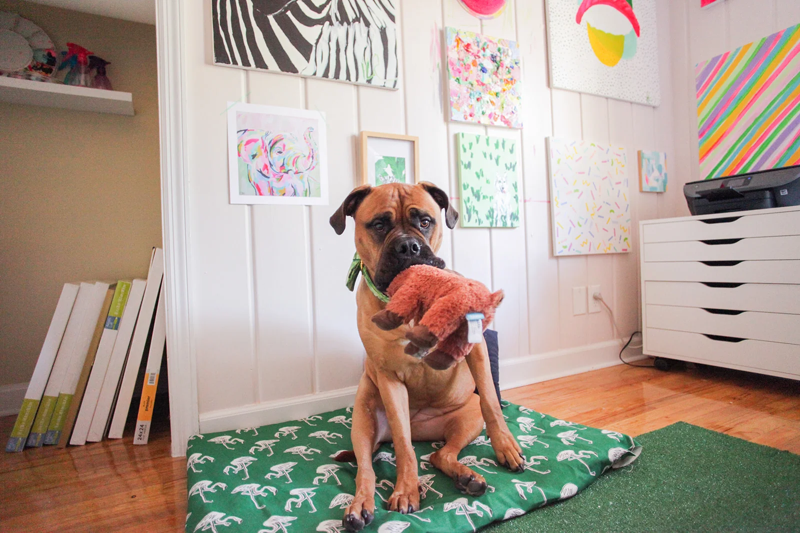 Effie is THRILLED with the changes, and she now has an area to lay while I work. My dreams of a studio dog are finally coming true!