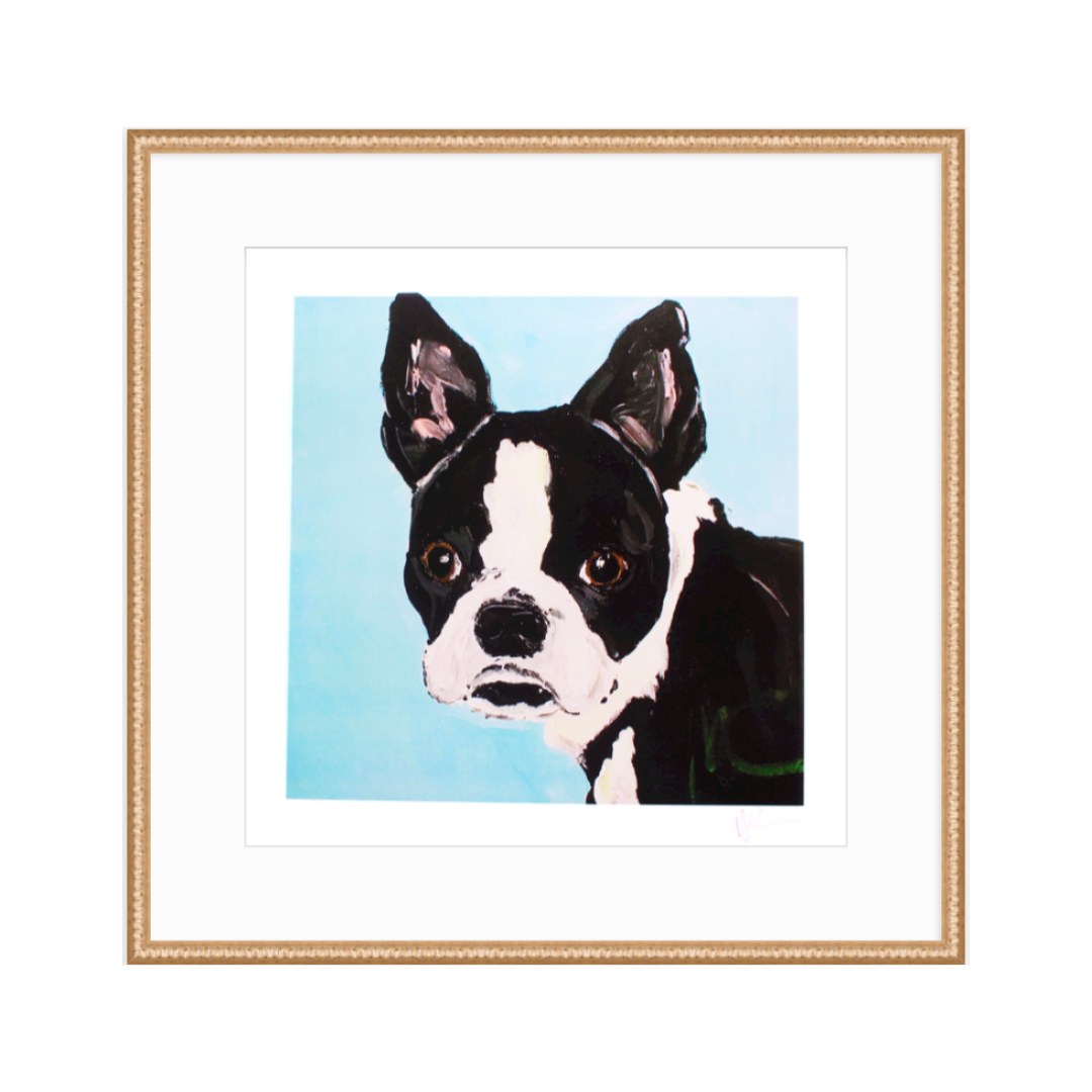 Boston Terrier Puppy Dog Novelty 30 x 30cm Canvas Print Picture Blue Bow Tie 