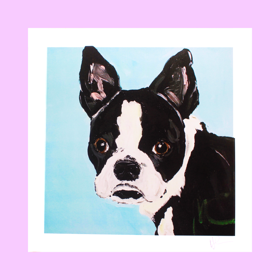 black-white-dog.png