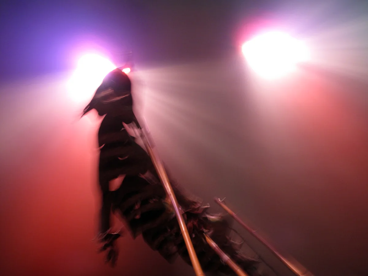 Halloween 2009-4.JPG
