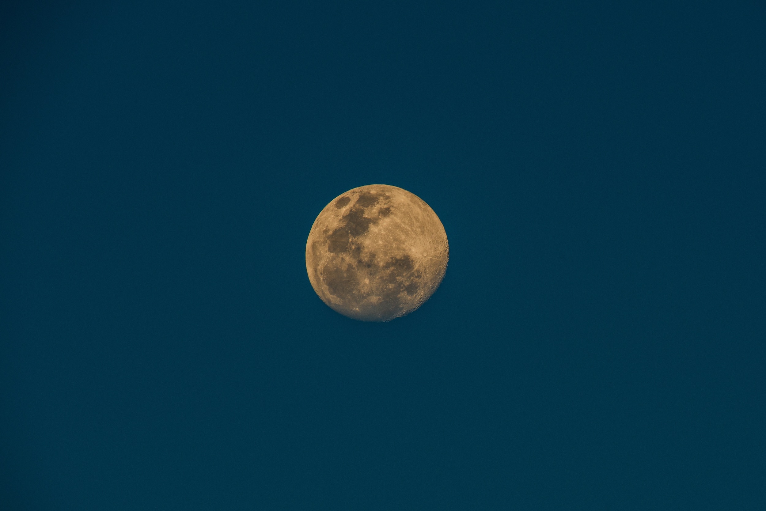 Saturday night was a full moon of the Blue Moon variety. Full moons are a great time to acknowledge and release what no longer serves us. There are many things I want to release in order to make room for what I want to create both in my life and my work. While it felt cathartic to write them down and burn them in our fireplace, there was an elephant in the room and it wasn’t going to step into the fireplace on it’s own. As an analogue spirited gal (Luddite-lite) I do okay living in a digital world, but have noticed I've gotten further away from the things I used to love and that connect me to me. Things like writing and being able to read actual books cover to cover. I parted ways with cable 15 years ago because the commercials and the 24 hour new cycle left me depleted and sad. Yet over the years, like a frog in the proverbial pot, I’ve found those familiar feelings are creeping back when I am on Facebook. So something has to change and it looks it'll have to be me. Having just finished the Whole30 program, which was a 30 day reset for my body, it occurred to me I can do the same for Social Media*. Facebook is akin to brain sugar to me and can leave me feeling strung out and twitchy. So I am staging an intervention for myself. I share this not to speak ill of a medium that has offered up connection and access. Rather I feel like declaring it here, while not remarkable, will help hold me accountable. Facebook serves a great many people and can facilitate really lovely things. I meant it when I said it was me. *Exception is Instagram (@honey.trabitz) as I enjoy the photos and because it is covered in puppies.