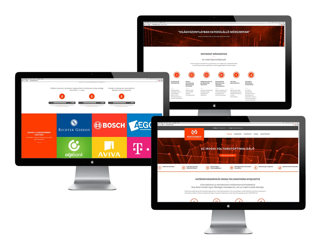 Motiment-Web-latvany-4.jpg