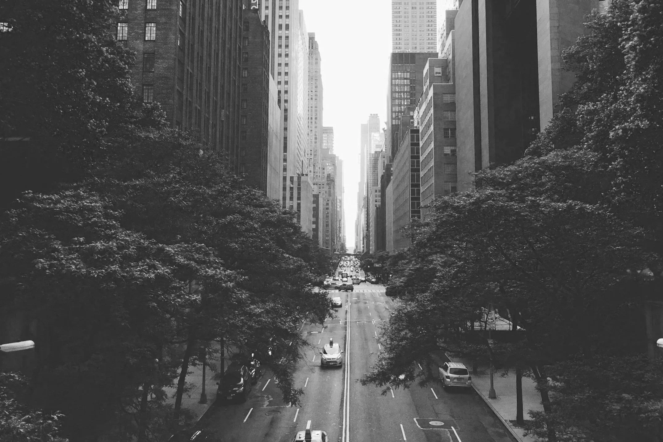 Black and white photo of a city street lined with tall buildings and trees, with cars driving along the road.