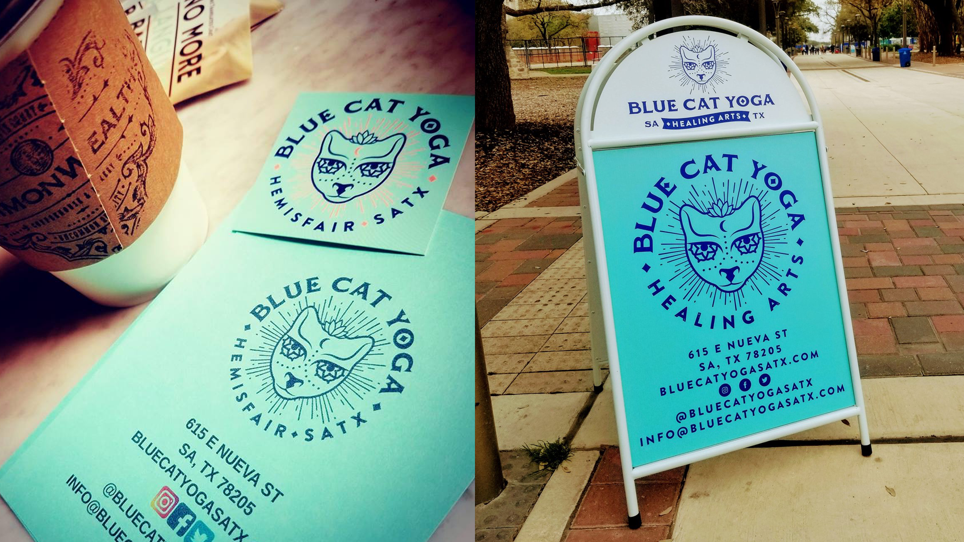 bluecat-2.png