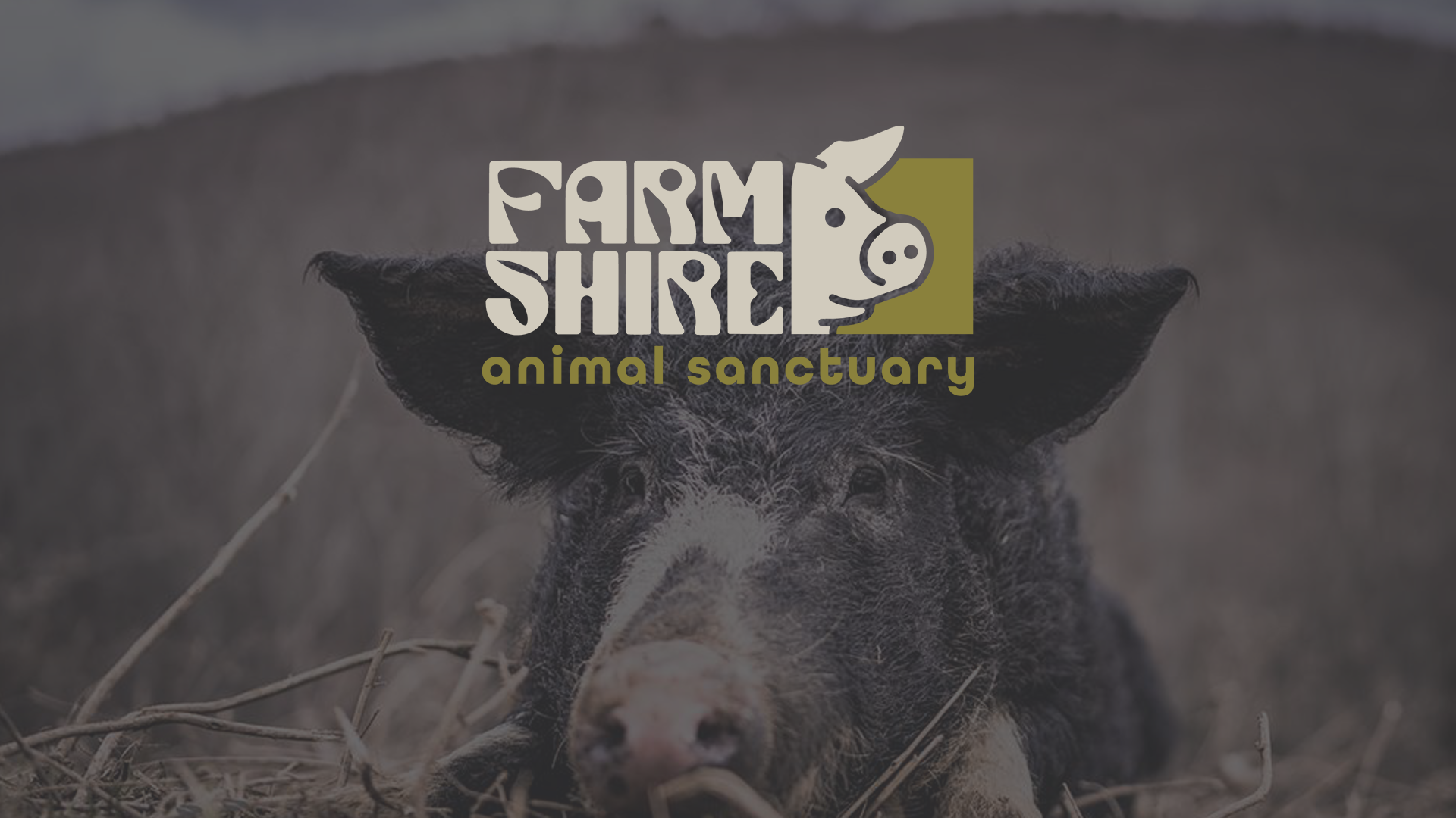 farmshire-4.png