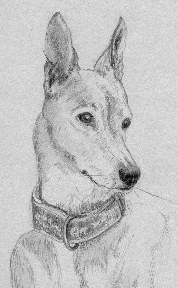 Rebecca, graphite