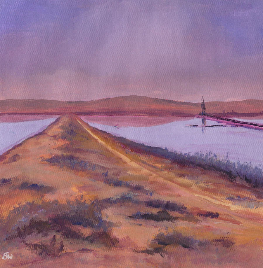 Alviso Levee