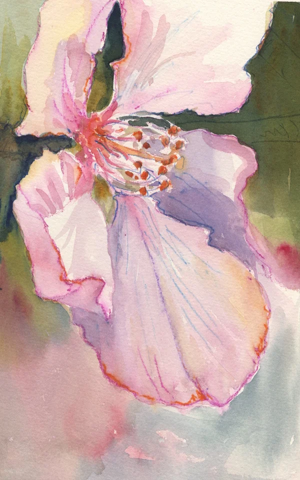 Blossom