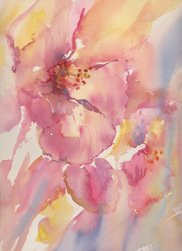 Pink Floral