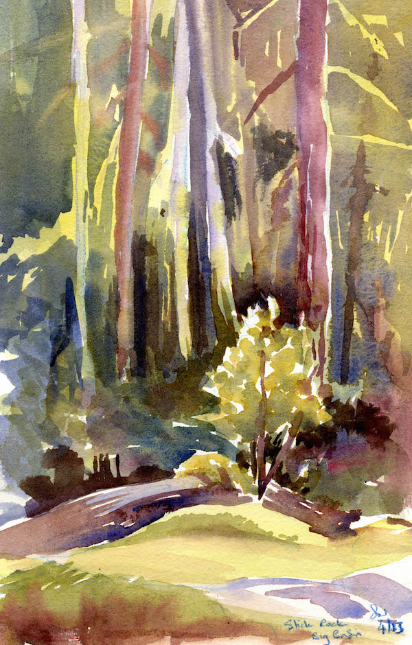 Slick Rock Trail, Big Basin Redwoods State Park