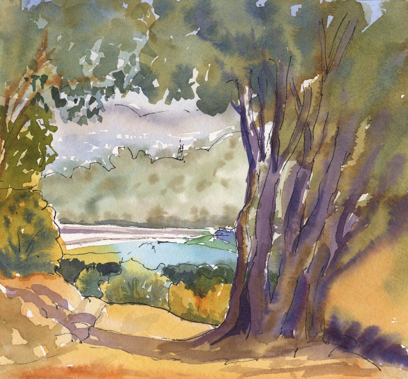 Pichetti Hike and Sketch 2