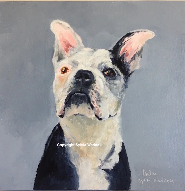 Portrait of Lulu 10 x 10 inches Acrylic on Canvas