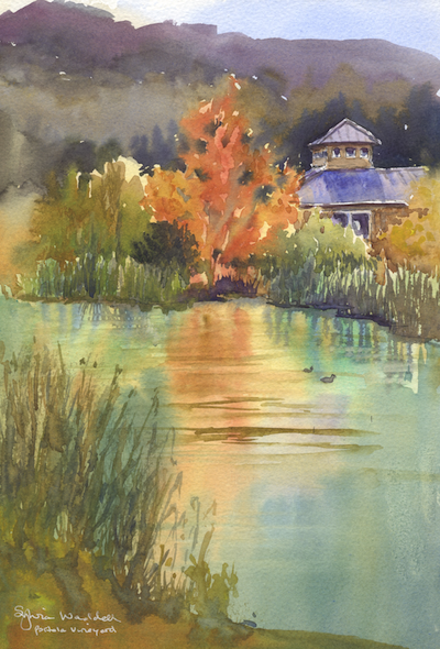 Portola Vineyards, Reflections