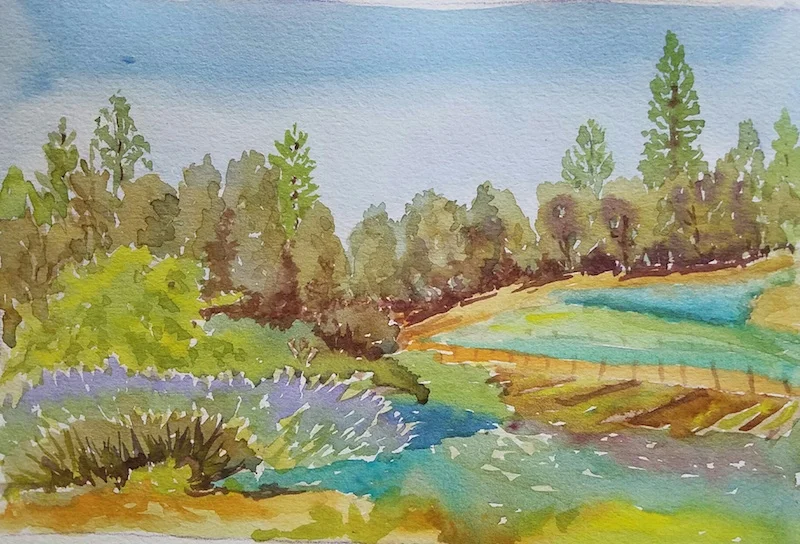 river hill organic farm
