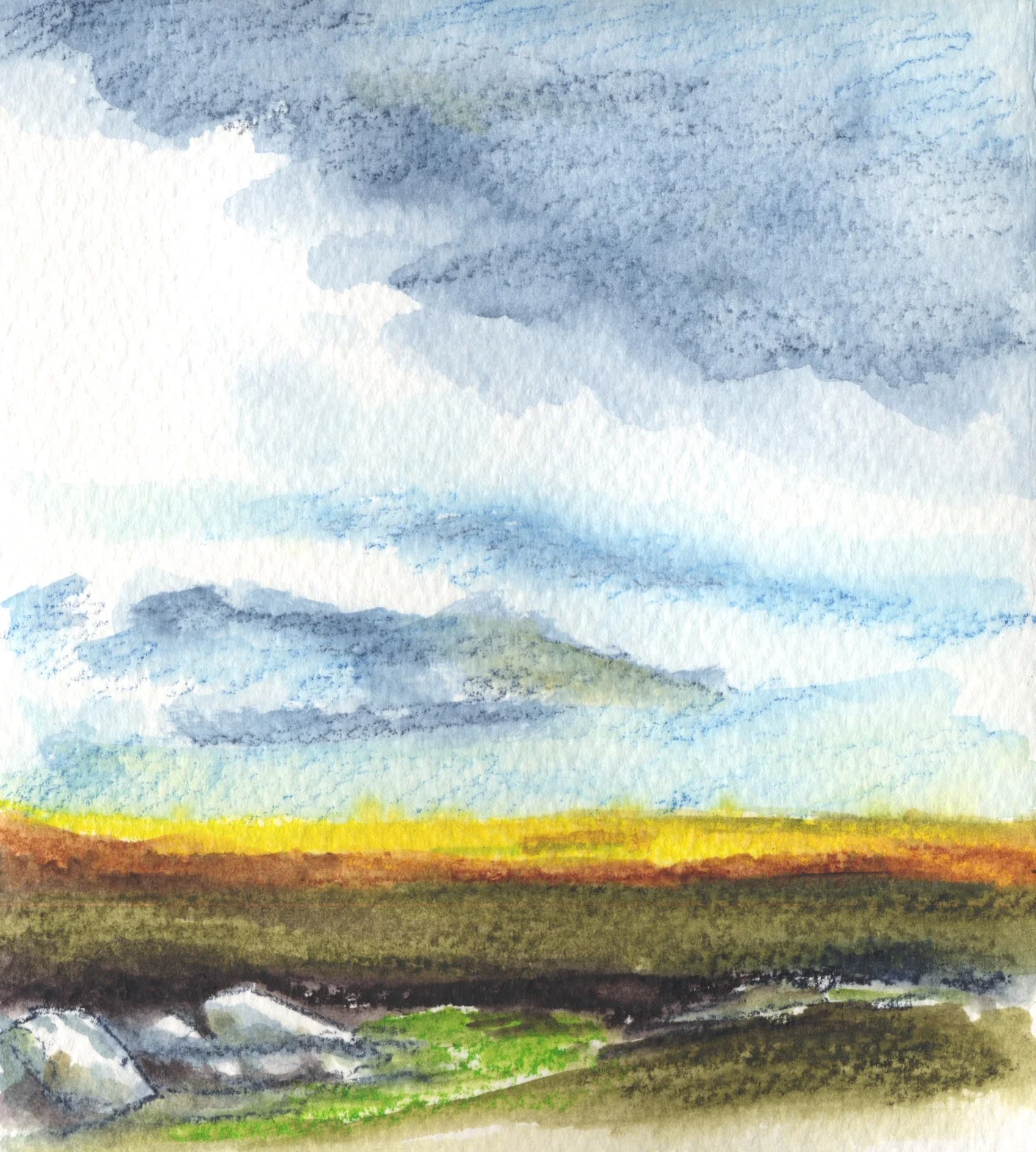 A scene from Dartmoor