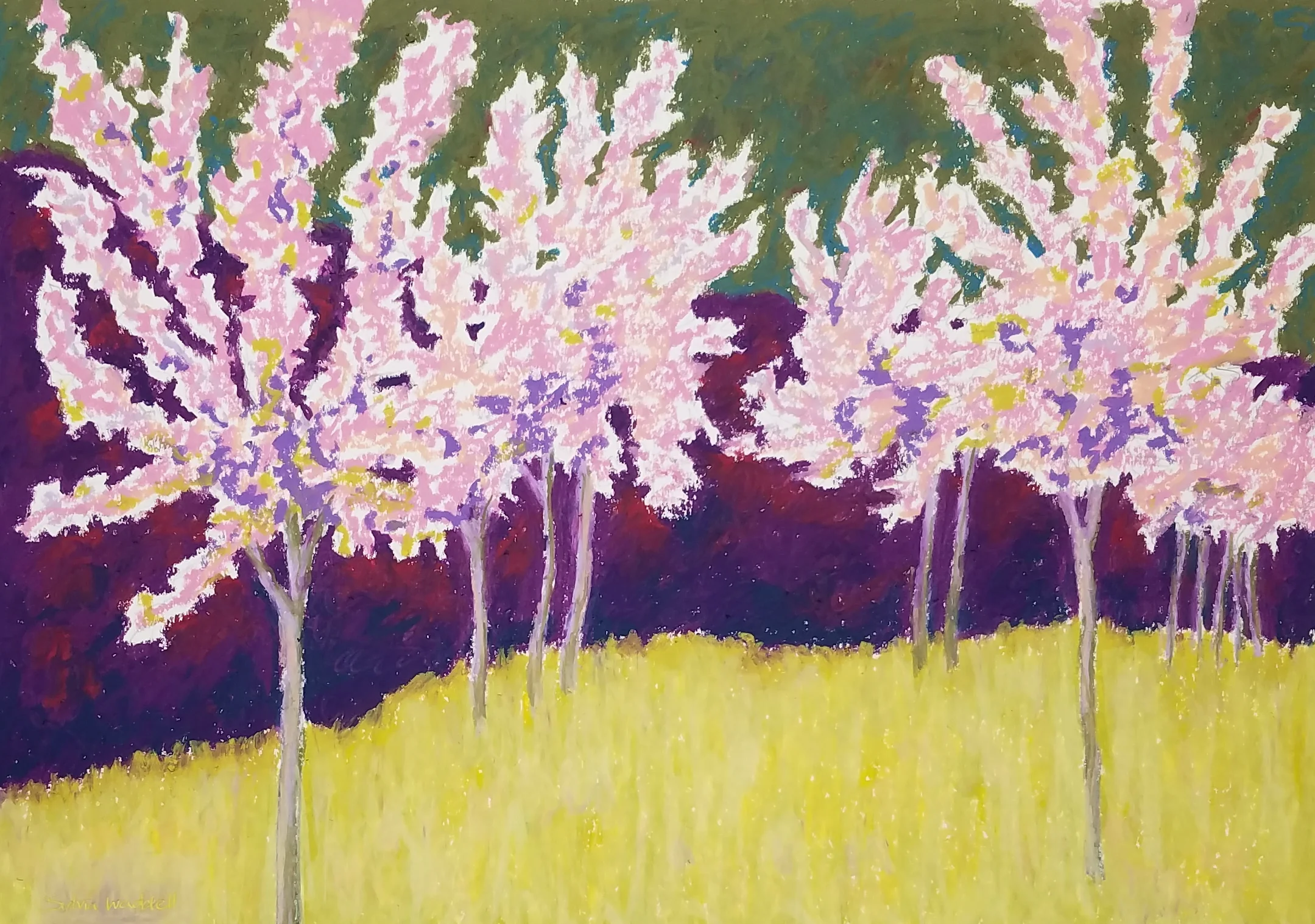 Spring Blossom