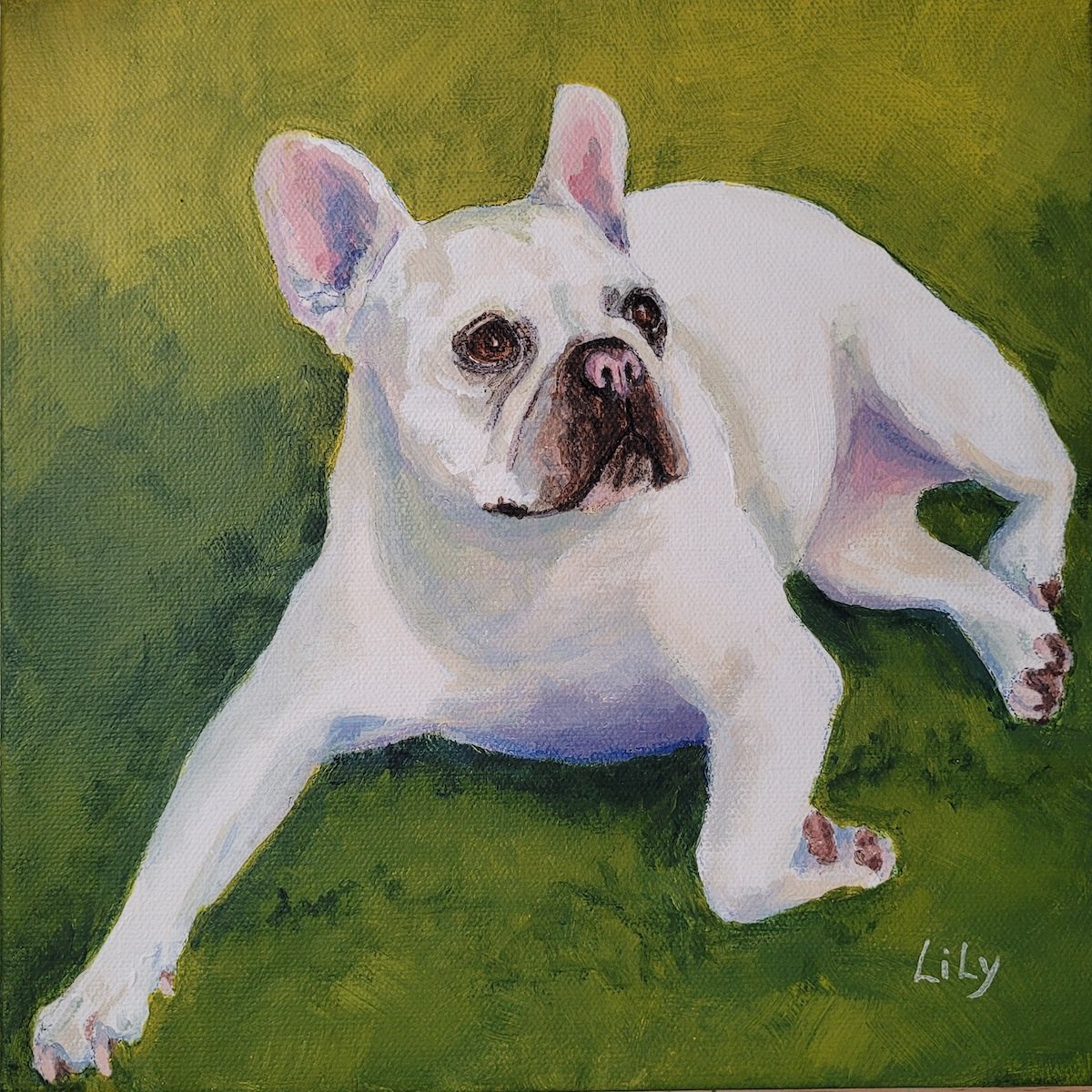 Lily